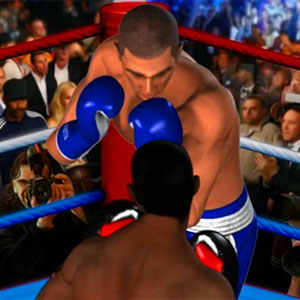 Ultimate Boxing/910