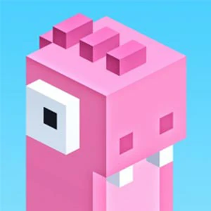 RayiFox/562