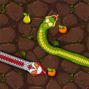Snake Attack/772