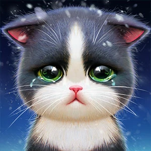 Kitten Match/512